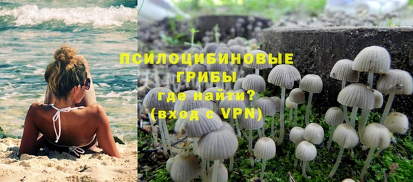 тгк Аркадак
