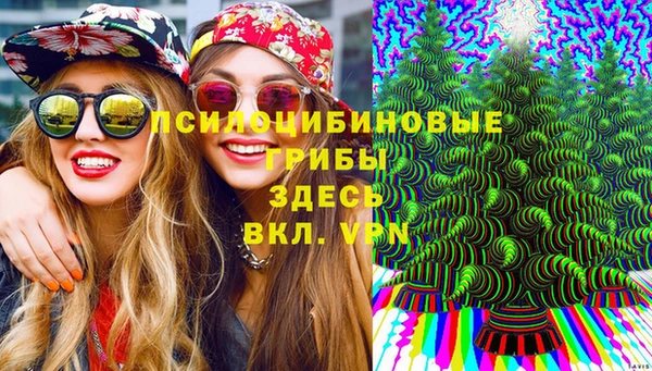 спиды Армянск