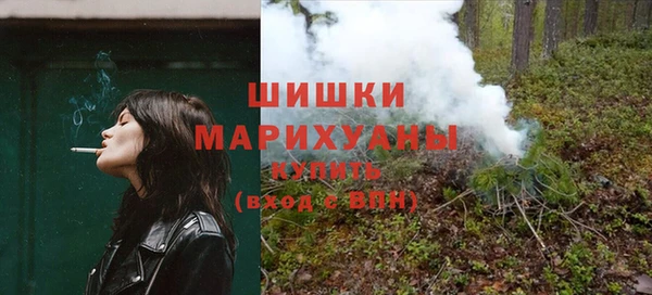 ГАЛЛЮЦИНОГЕННЫЕ ГРИБЫ Арсеньев