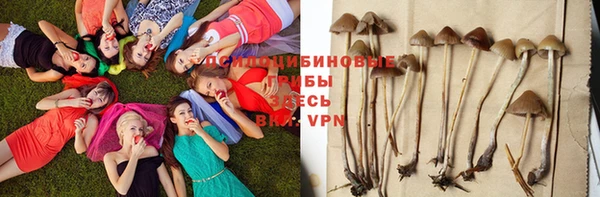 тгк Аркадак