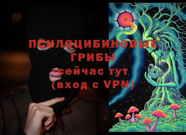 ГАЛЛЮЦИНОГЕННЫЕ ГРИБЫ Арсеньев