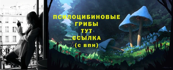 ГАЛЛЮЦИНОГЕННЫЕ ГРИБЫ Арсеньев