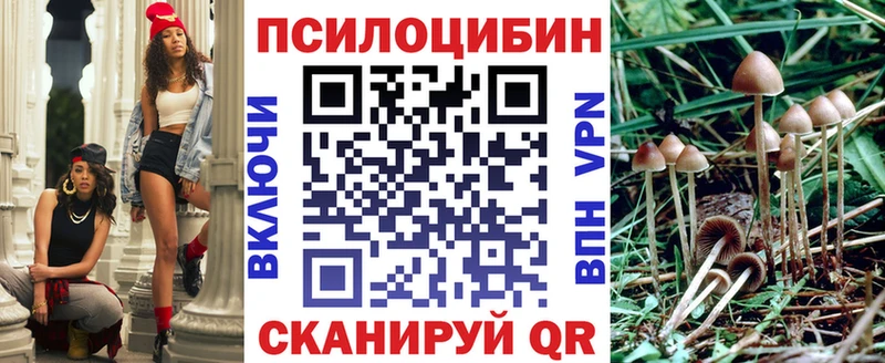 Купить  Тетюши  Псилоцибиновые грибы Magic Shrooms 